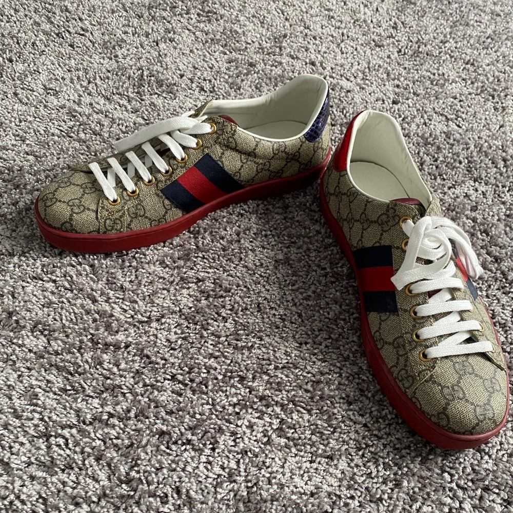 Brand new men’s Gucci canvas sneakers